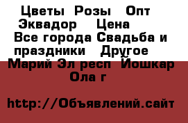 Цветы. Розы.  Опт.  Эквадор. › Цена ­ 50 - Все города Свадьба и праздники » Другое   . Марий Эл респ.,Йошкар-Ола г.